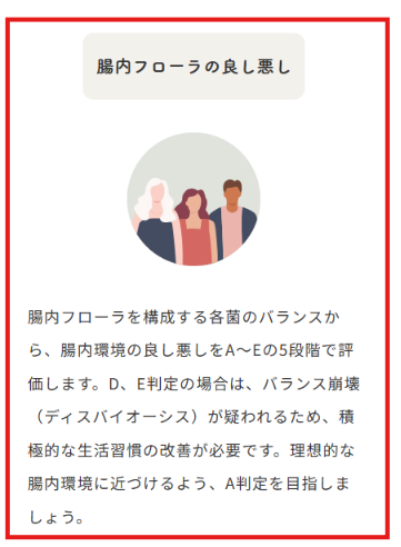 マイキンソー公式サイトの腸内環境A〜E5段階評価の説明