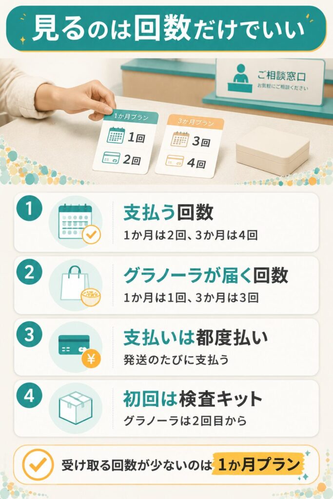 プラン別の支払い回数と受け取り回数を比べた図解