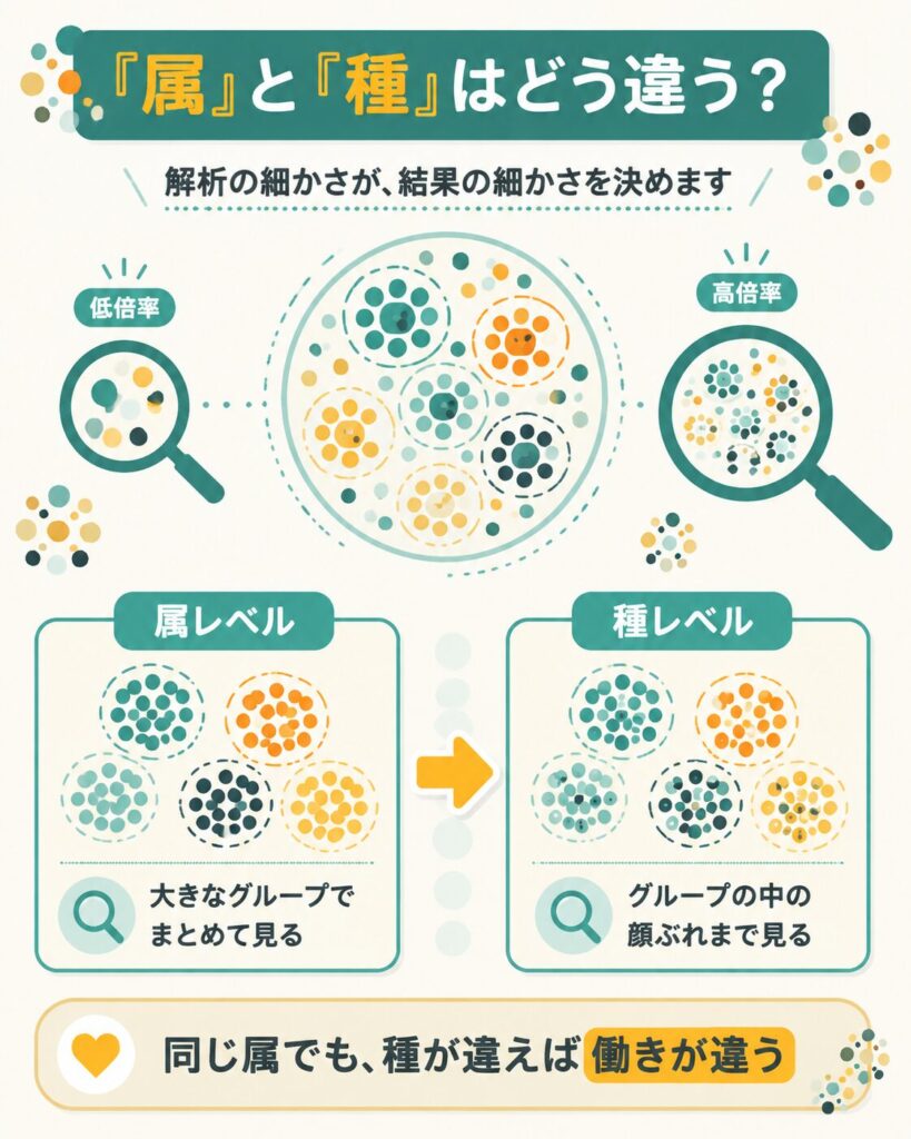 腸内細菌の属レベルと種レベルの解析の違いを比べた図