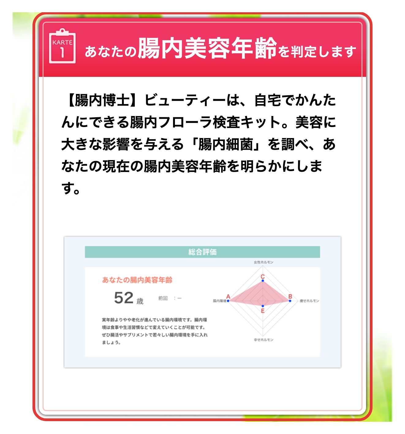 腸内博士の結果レポートの総合評価の見本（公式LP）